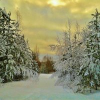 снежный пейзаж :: Владимир 