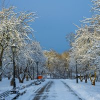 Зимняя сказка в Коломенском :: Игорь Герман