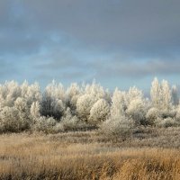 Смоленская осень (из поездки по области). :: Милешкин Владимир Алексеевич 