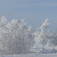 У дороги в инее стоят. :: сергей 