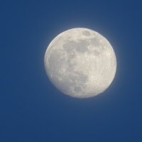 Луна :: Денис Бочкарёв