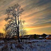 Затаённость зимнего заката :: Анатолий Мо Ка