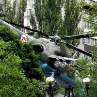 Красавец Ми-24 спрятался среди деревьев...) :: Анастасия Косякова