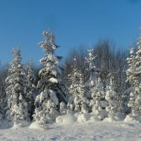 Зимняя сказка. Пермский край :: Натала ***