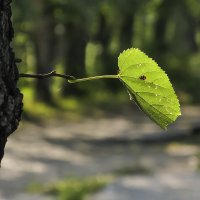 Скоро осень :: Владимир Иванов