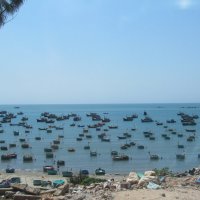 Вьетнам :: Елена Шаламова