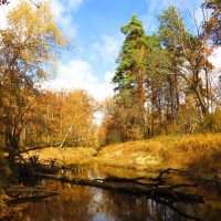 На осенней реке :: Андрей Снегерёв