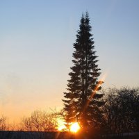 Февральский вечер :: Людмила Смородинская