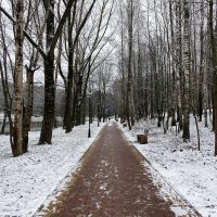 Городской парк в феврале :: Милешкин Владимир Алексеевич 