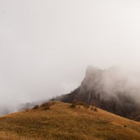 Зуб в тумане :: Василий Ворона