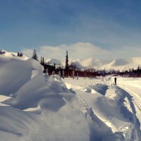 Кому снега не хватает? :: Вера Литвинова