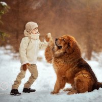 Человек собаке друг... :: Маргарита Черкасова