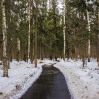 в парке :: Петр Беляков