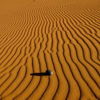 В пустыни Намибии :: Георгий А