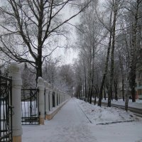 зима :: Людмила 