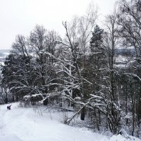 Настоящая зима. :: Юрий Шувалов