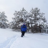 В белом царстве :: Денис Бочкарёв