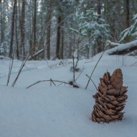 Потерялась :: юрий поляков