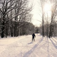 В чудесный день на лыжах нам ходить не лень.. :: Андрей Заломленков