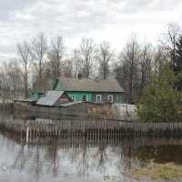 Зимнее подтопление :: Сергей Кочнев