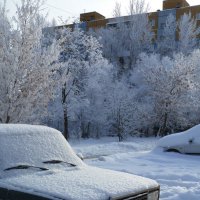 Праздничный день декабря... :: Лидия Бараблина