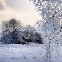 Зимой в деревне :: Varvara 