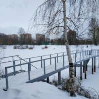 Вы все еще не любите зиму? :: Андрей Лукьянов