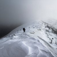 Ведь мы уходим :: Алексей Медведев