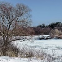 И наконец под снегом скрылся лёд реки... :: Лесо-Вед (Баранов)