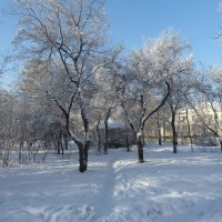 Зима-краса :: Галина Минчук