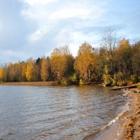 Осенью на Кавголовском озере... :: Андрей Вестмит