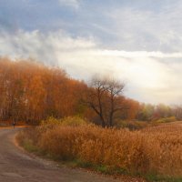 Осенний пейзаж :: георгий  петькун 