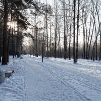 По зимней аллее навстречу солнцу. :: Анатолий Грачев