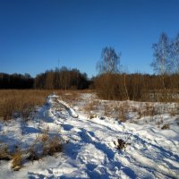 Зима в моем любимом Абрамцеве. Видимо, последняя попытка зимы :: Андрей Лукьянов