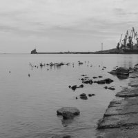 Порт Феодосия :: Sem sem