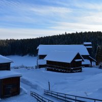 Хохловка :: Наталья Короваевич