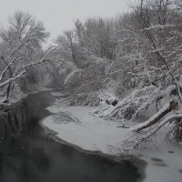 Река Миус зимой :: Максим 