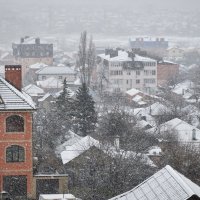 Снегопад :: Александр Гапоненко