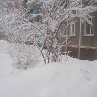 Когда много снега.. :: Елена Семигина