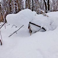 Что только не привидится после захода солнца :: Raduzka (Надежда Веркина)