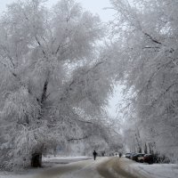 Зимний городской мотив :: Natali 