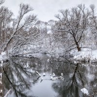 Отражение зимы :: Игорь Сарапулов