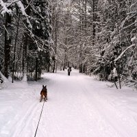 Вперёд!.. :: ВикТор Быстров