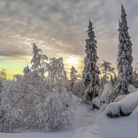 Вечерний свет :: Vladimbormotov 