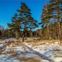 08 февраля 2020 года, Дрезна, МО :: Андрей Дворников