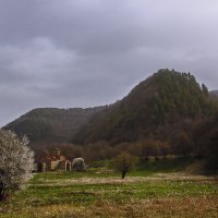 Весенний пейзаж с храмом :: M Marikfoto