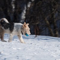 По своим делам... :: Владимир Безбородов