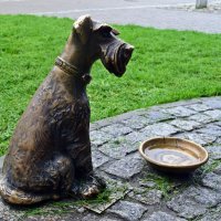 Памятник собачке :: Татьяна Ларионова