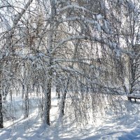 Зимушка-зима :: Валерий Тарасов