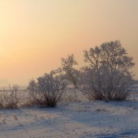 Растворился вечер в тихой акварели. :: nadyasilyuk Вознюк